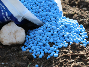 Compound Fertilizer